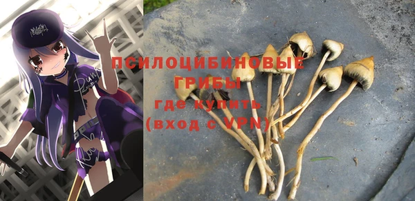 прущая мука Баксан