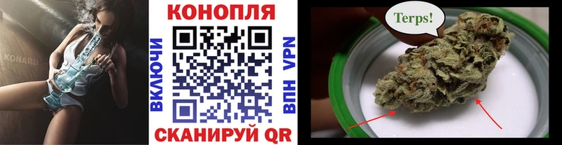 Купить закладки  Приволжск  Конопля AK-47 
